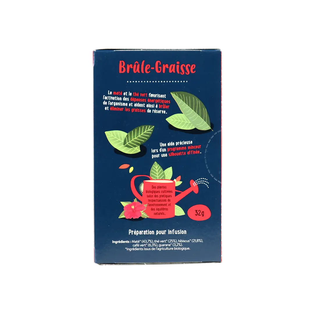 Biorigine Infusion Bio Brule Graisse 20 Sachets
