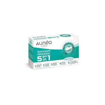 ALINEA AMINICISSANT 5IN1 500MG 60CAP