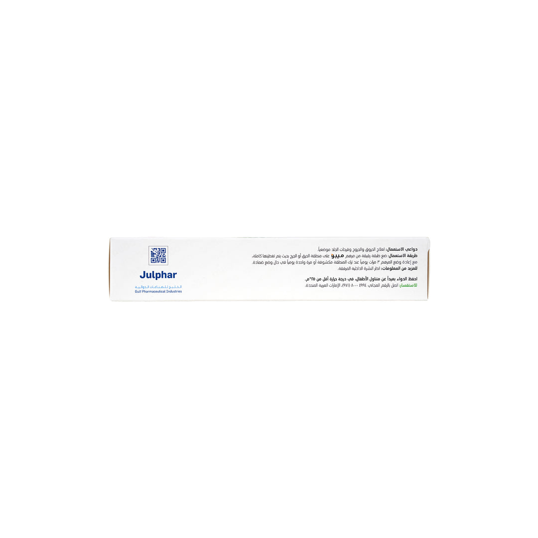 10051-Mebo Ointment 30g +3