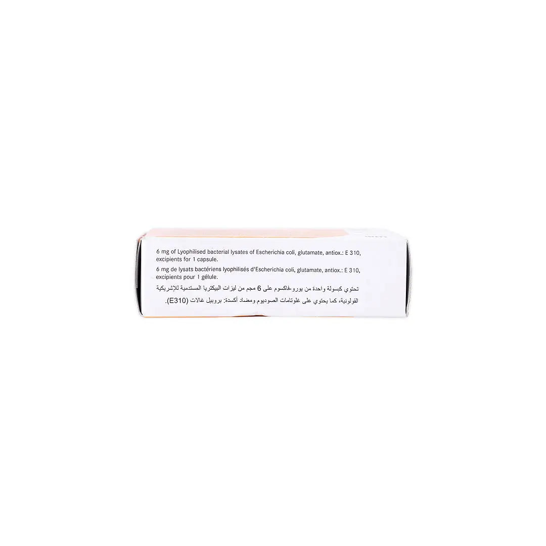 URO-VAXOM 6MG 30CAP