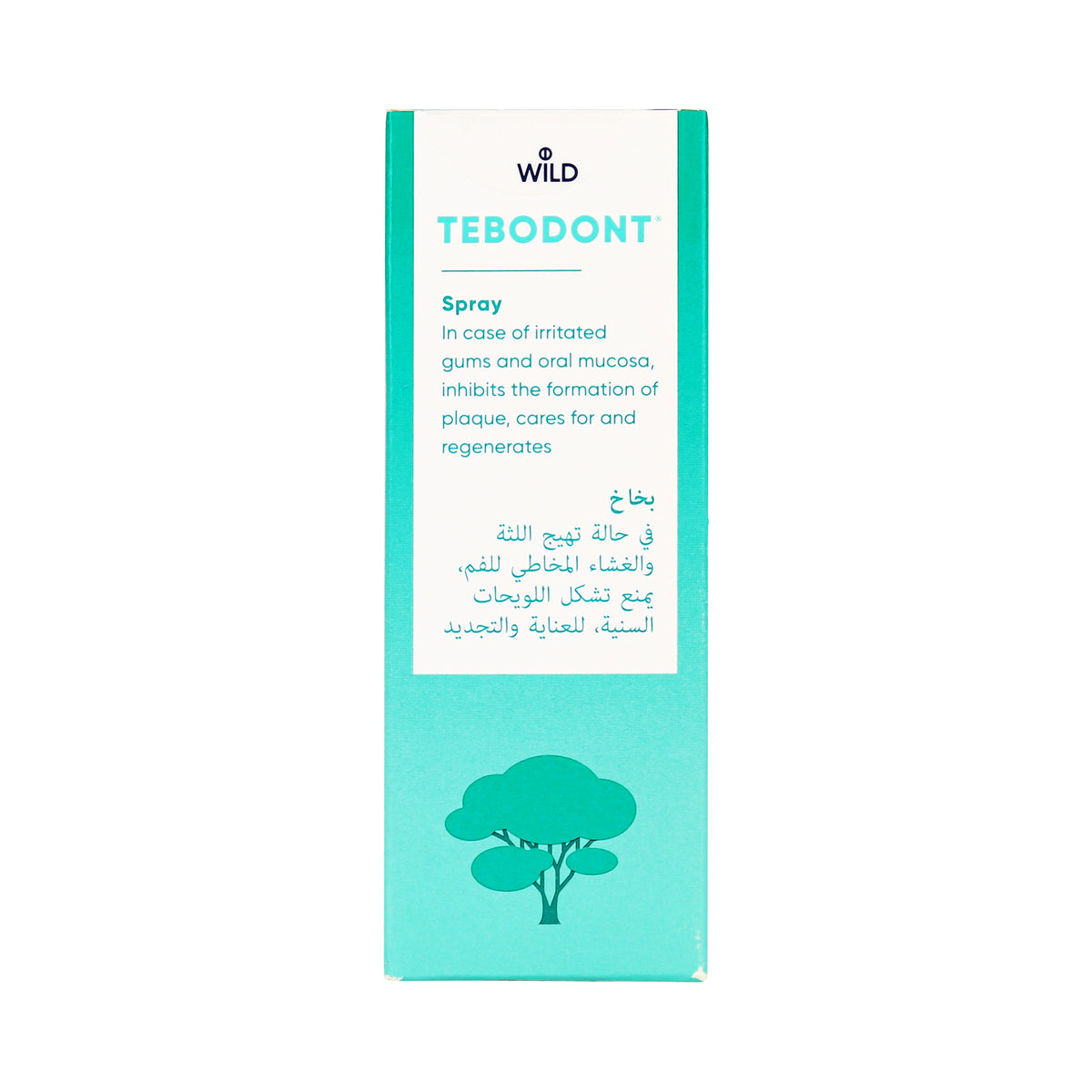 20677-Tebodont Spray 25ml