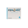 FENAMIC 250MG 24CAP.