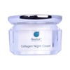 Revitol Collagen Night Cream 40Gm(Reacn)