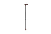 Pharmazone Walking Stick Economic Black FS929L