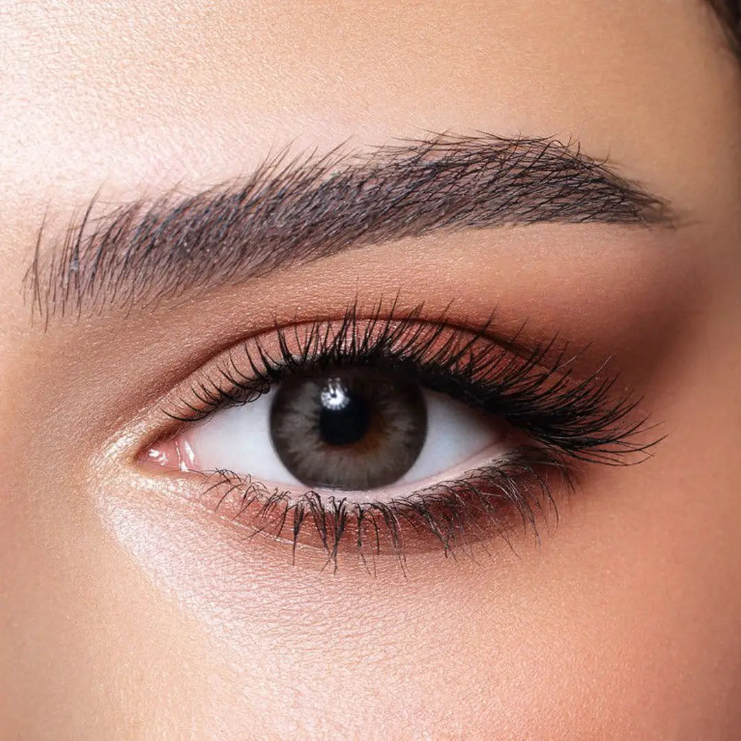 Bella Diamond Monthly Lenses - Almond Gray