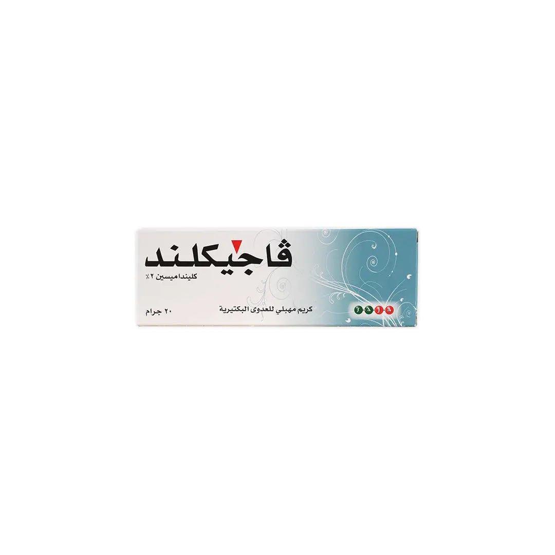 32364-Vagiclind Vaginal Cream 2% 20 Gm +3