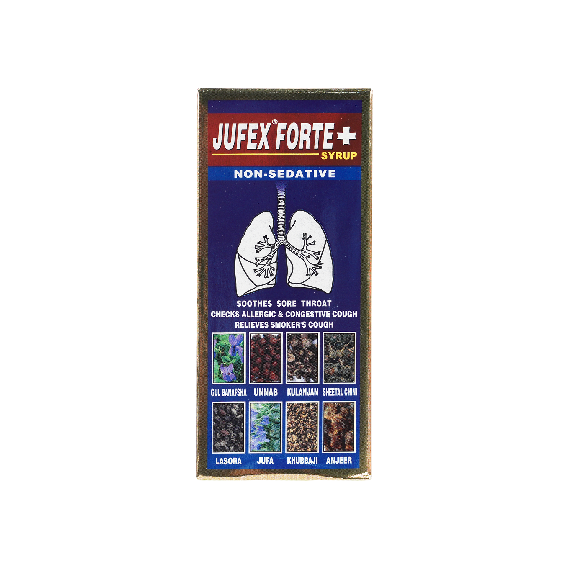 JUFEX FORTE SYRUP 100ML