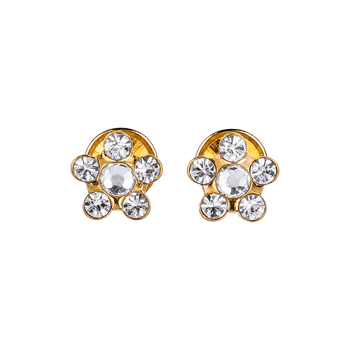 33726-Lustrous 132 