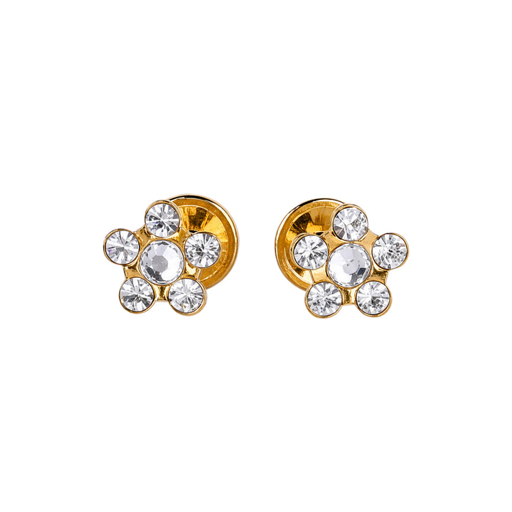 33726-Lustrous 132 +1