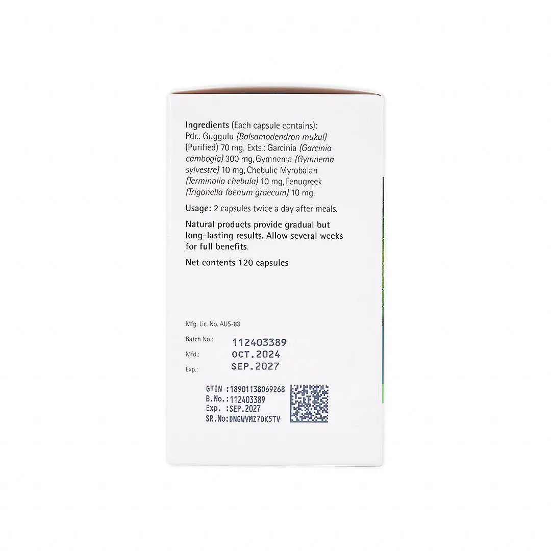 himalaya ayurslim 120 cap