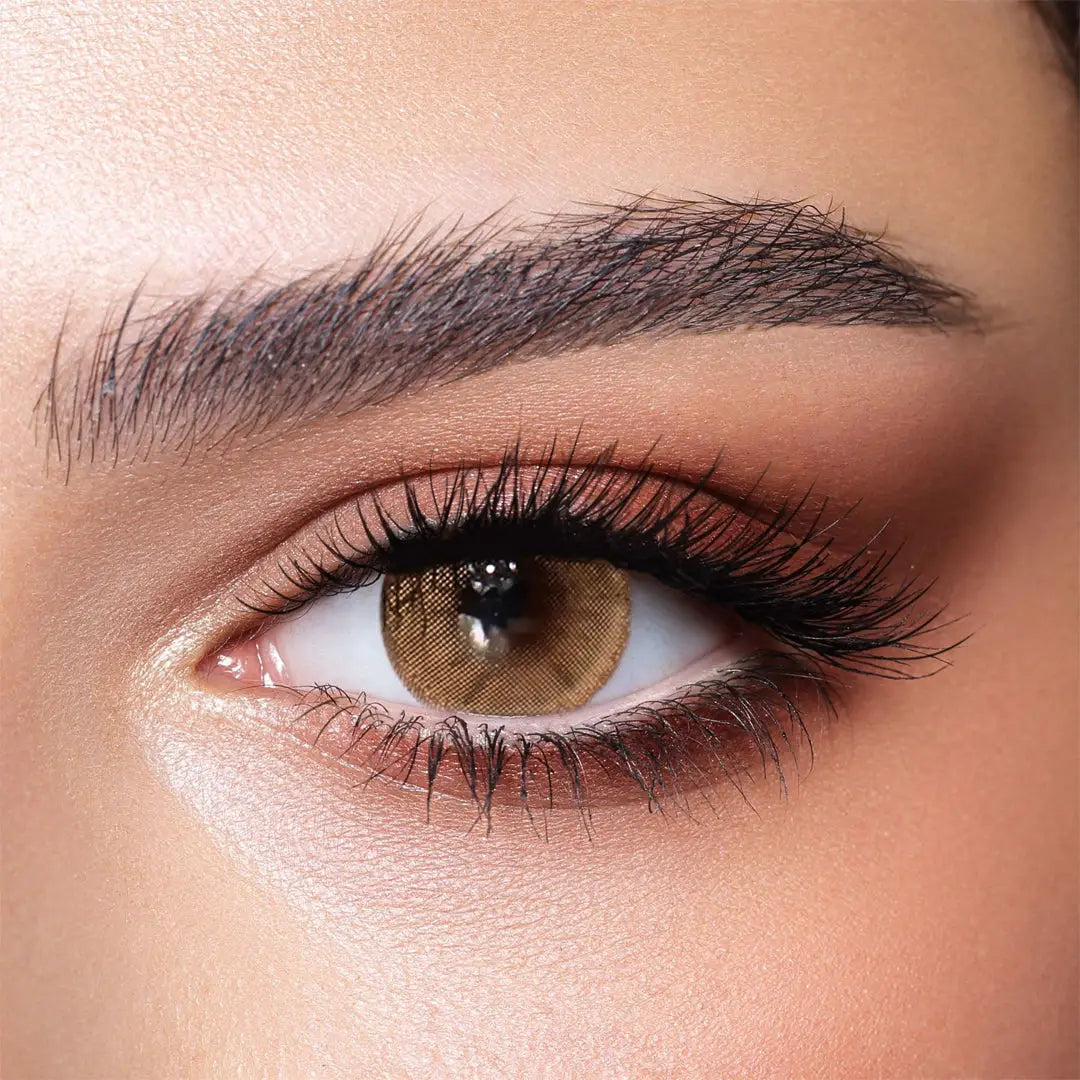 37392-Bella Color One Day Lens 10Pcs - Hazel Beige