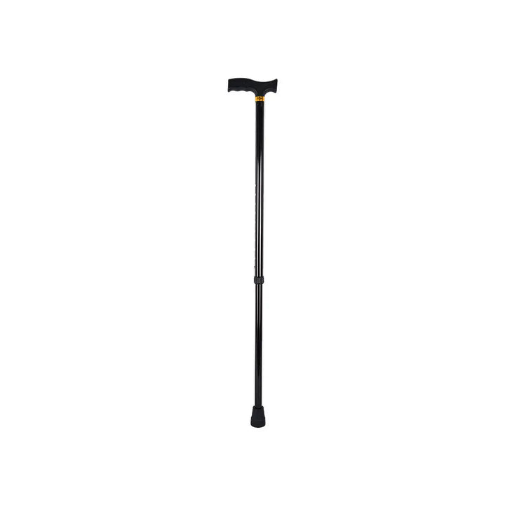 38896-Fadomed Walking Stick All +4