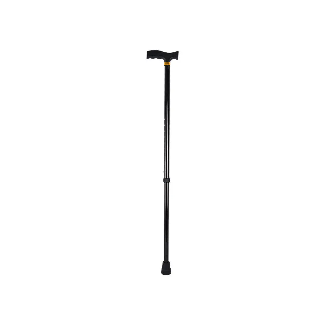 38896-Fadomed Walking Stick All +3