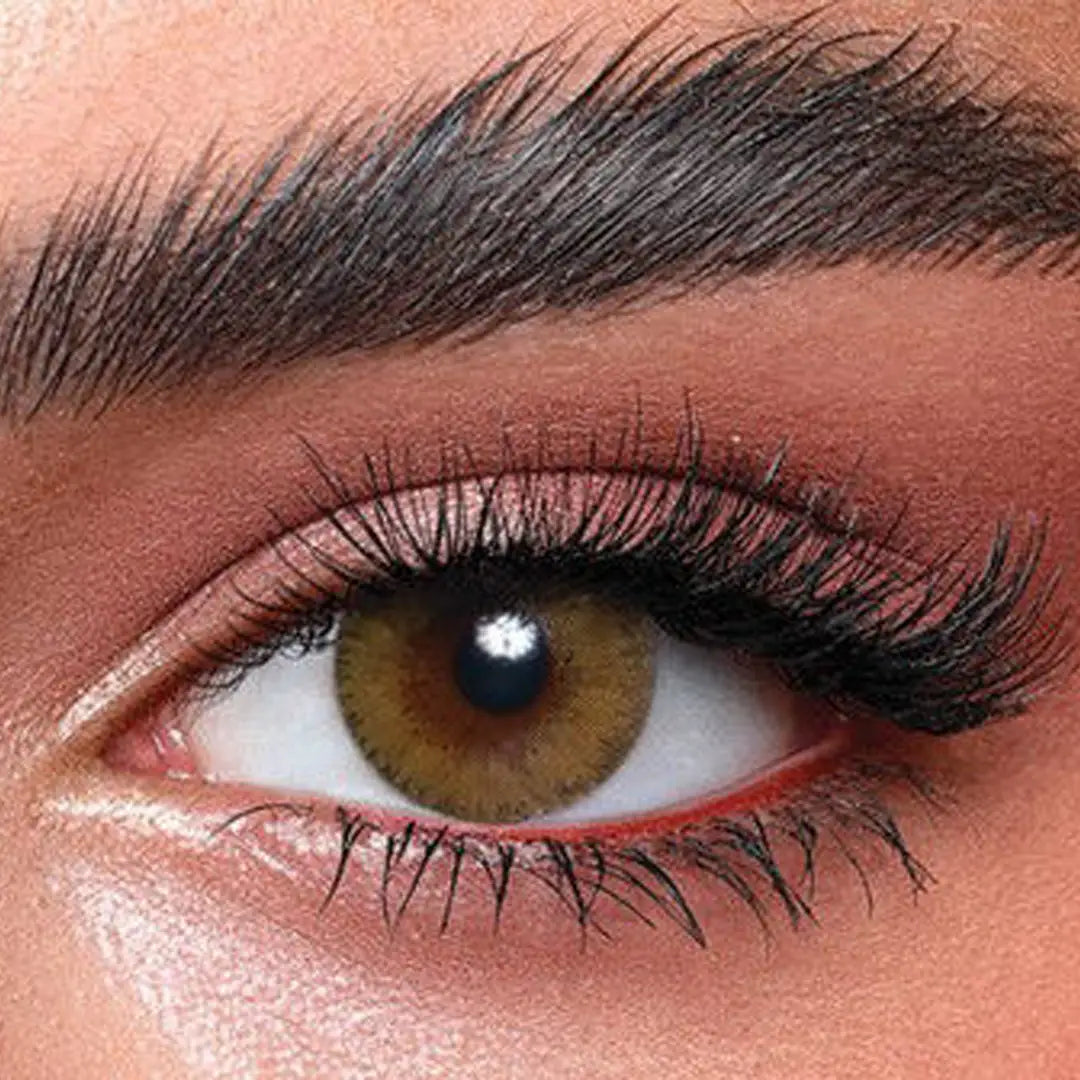 Bella Elite Monthly Lenses - Silky Gold