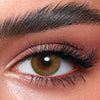 Bella Elite Monthly Lenses - Silky Gold