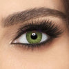 Freshlook Color Blend Monthly Lenses - Green