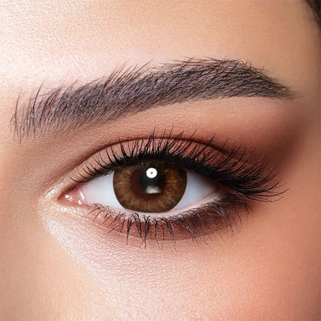 45494-Bella Color One Day Lens 10Pcs - Almond Brown