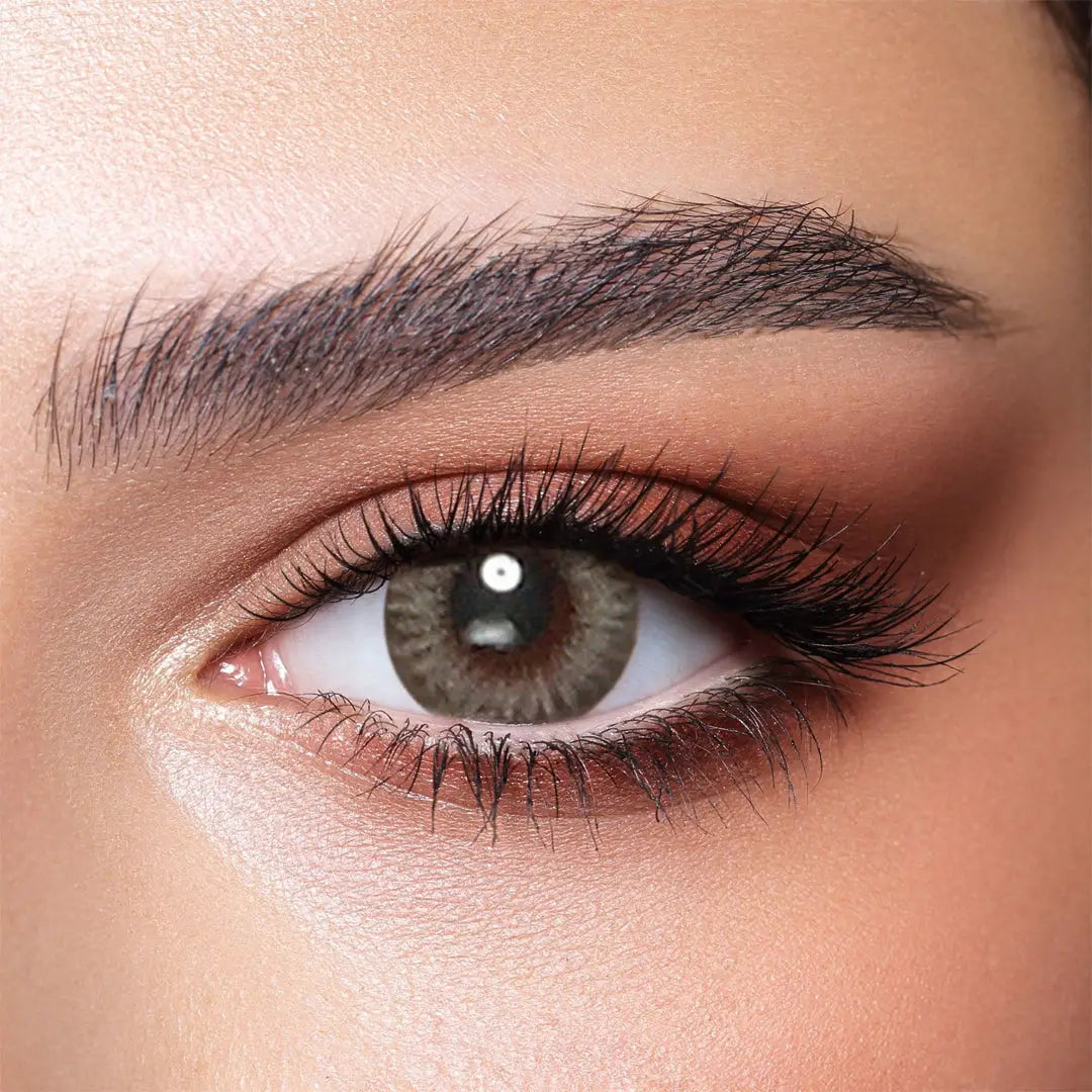 45495-Bella Color One Day Lens 10Pcs - Platinum Gray