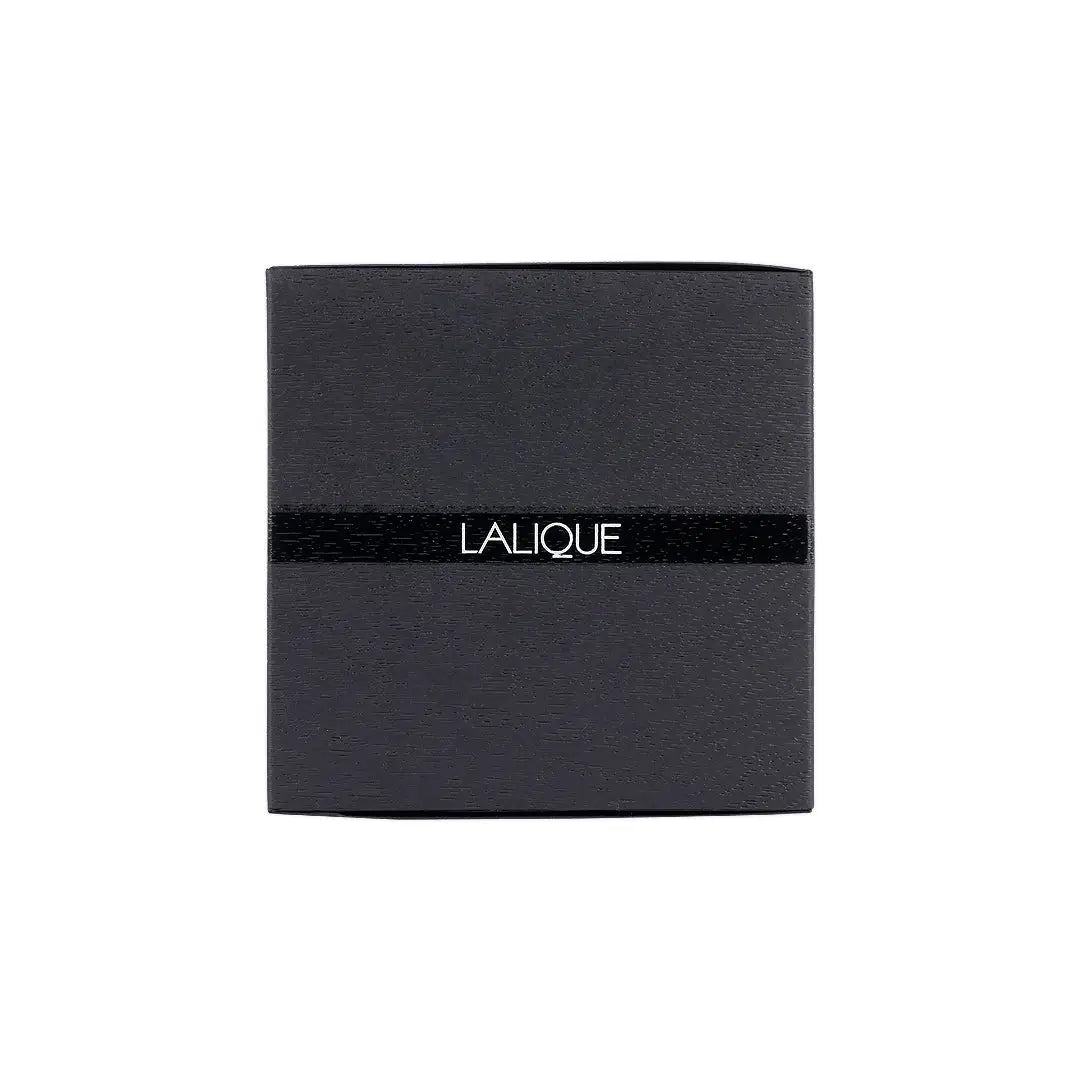 Lalique Encre Noir EDT 100ml-Men