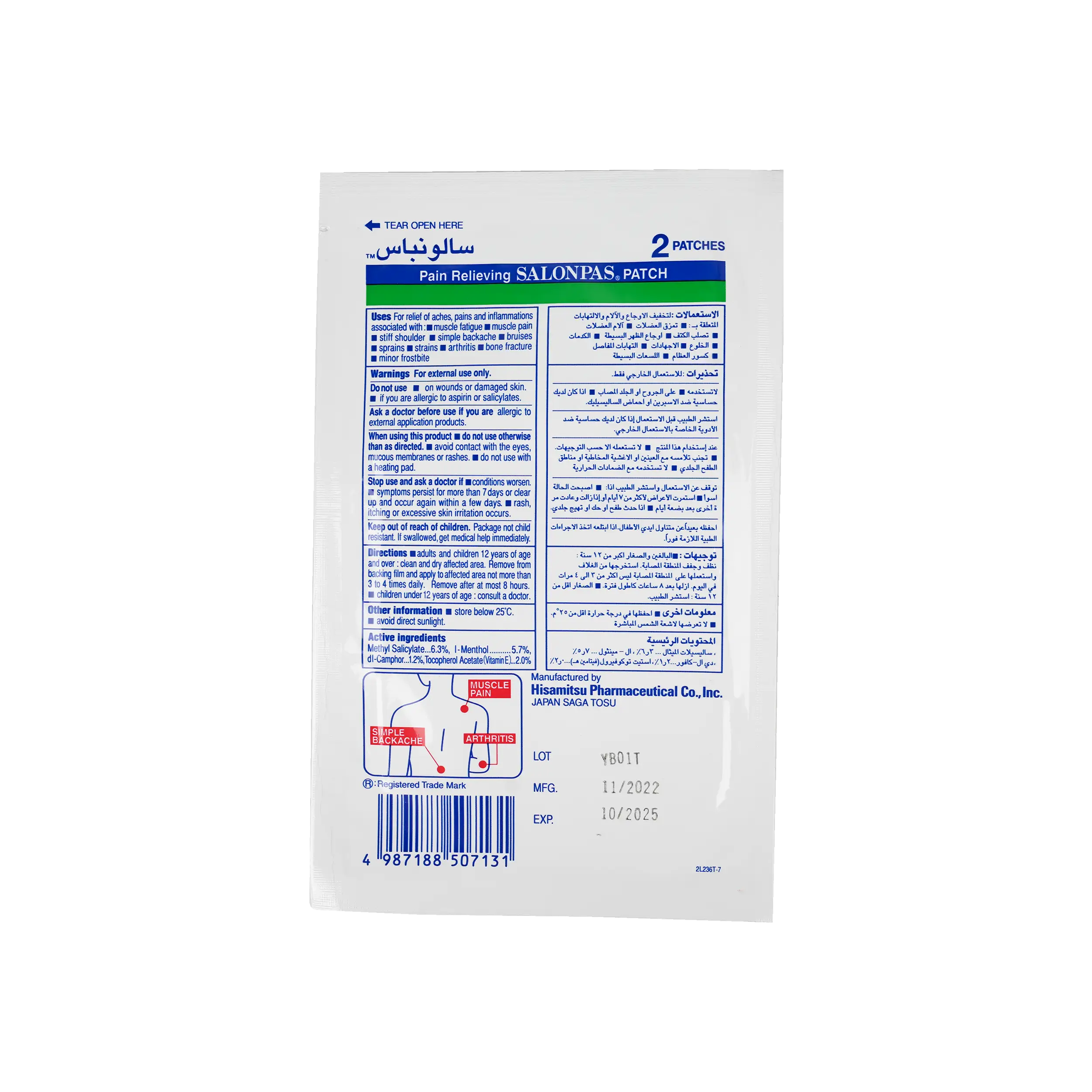 Salonpas Pain Relieving 2Patches