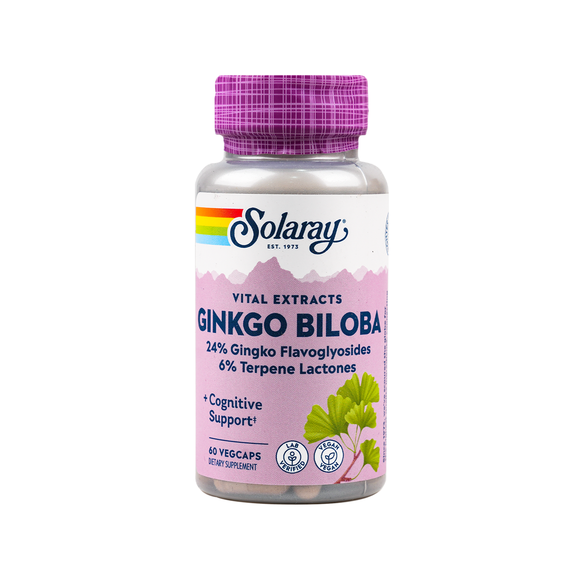 Solaray Ginkgo Biloba +Cognitive Suport 60vegcaps