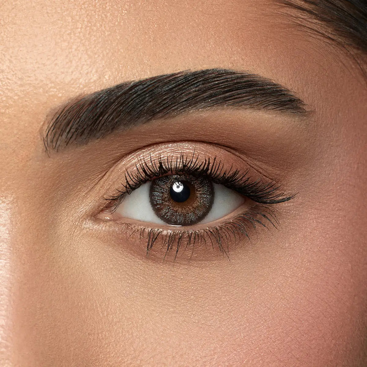48440-Amara One Day Color 10 Contact Lenses - Gray