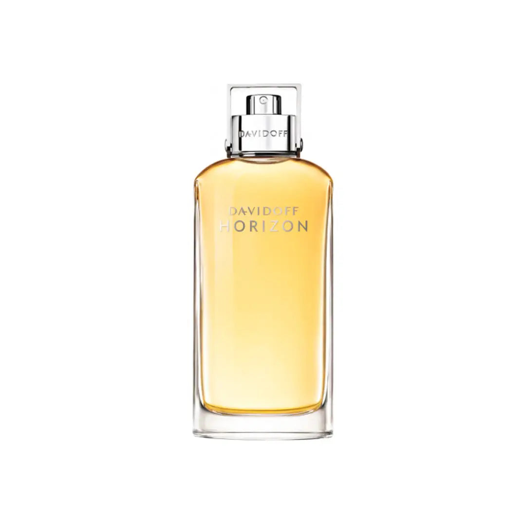 Davidoff Horizon For Men EDT 125ML