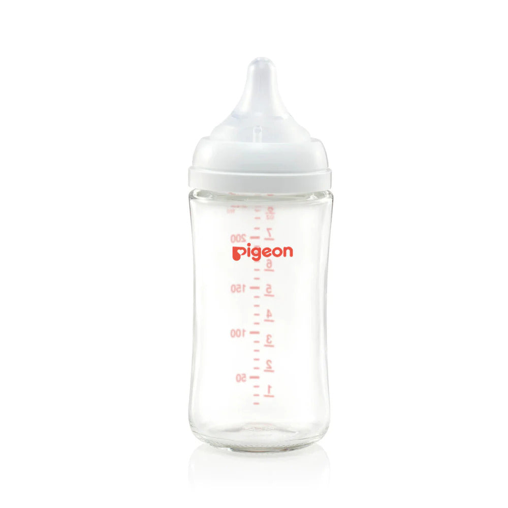 PIGEON SOFTOUCH GLASS BOTTLE 3+M 240ML - PA26746