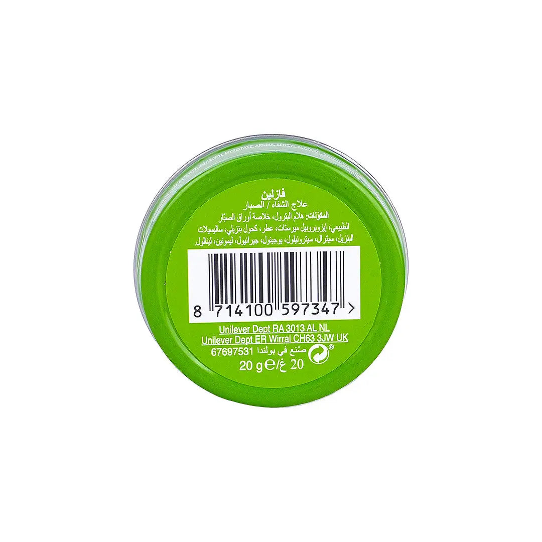 51127-Vaseline Lip Therapy 20g - Aloe +3