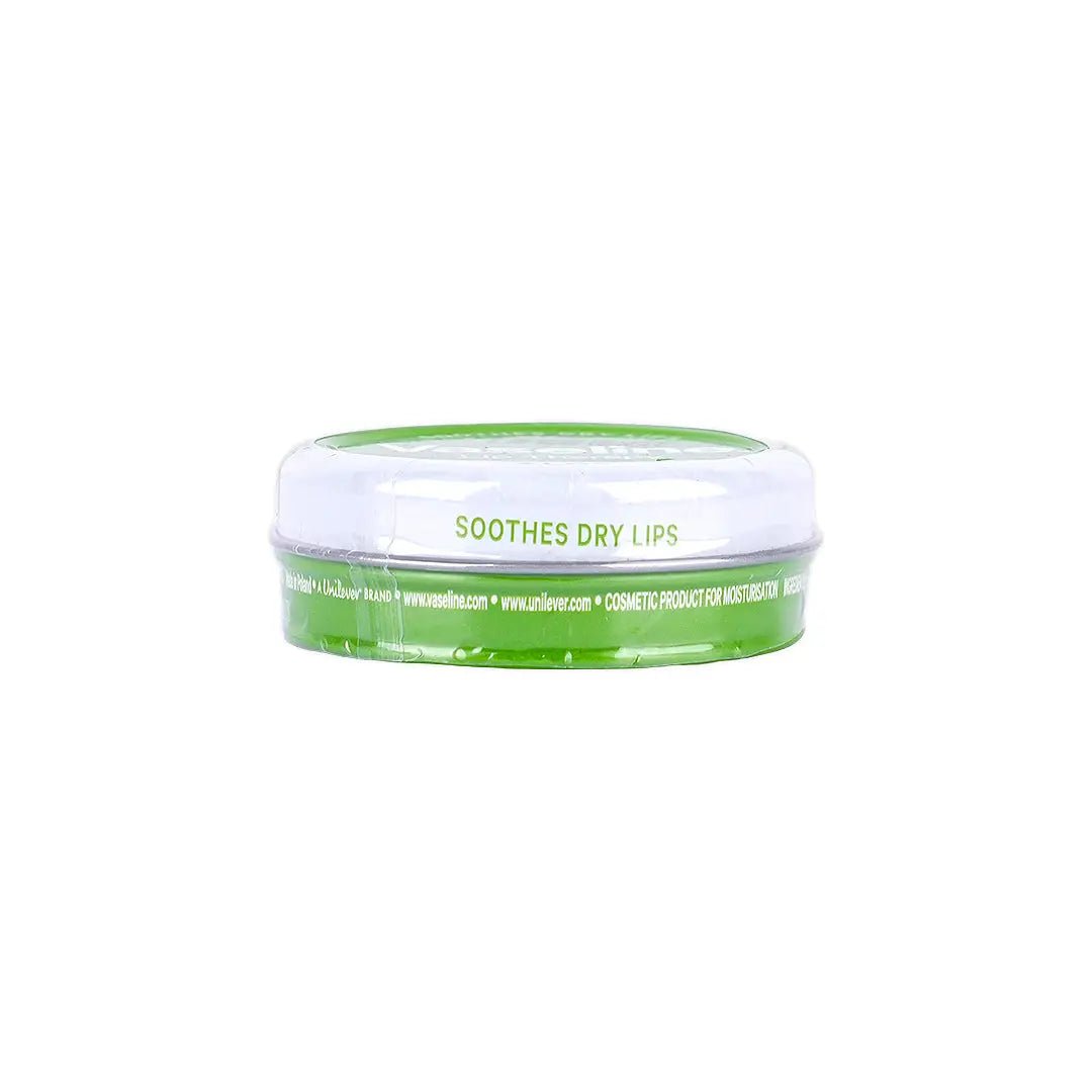 51127-Vaseline Lip Therapy 20g - Aloe +2