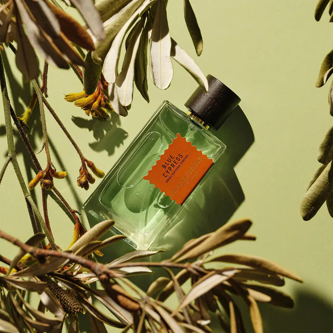 52738-Goldfield & Banks Blue Cypress Perfume 100ML +3