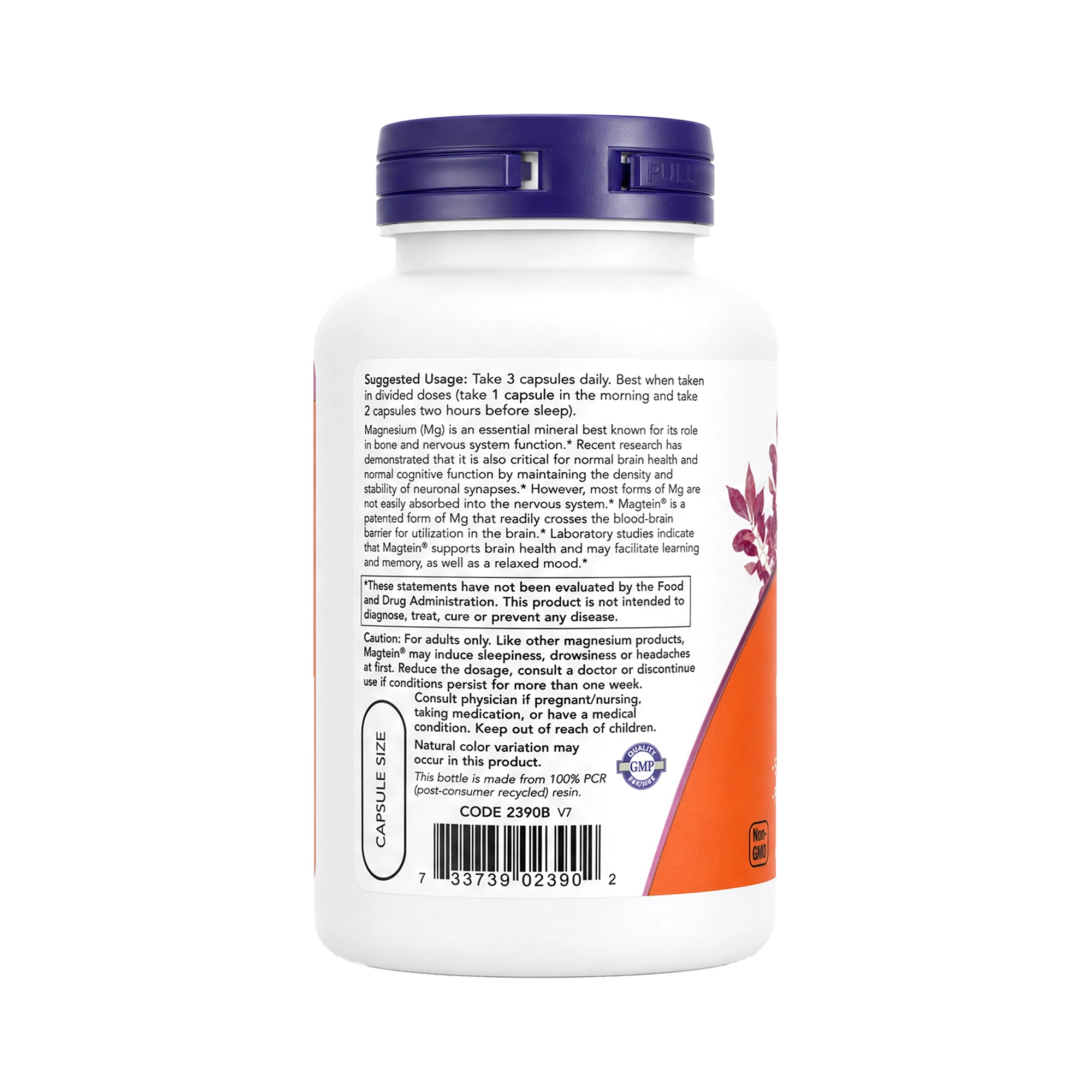 52777-Now Magtein 90 Veg Capsules +1