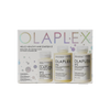 Olaplex Hello Healthy Hair Starter Kit