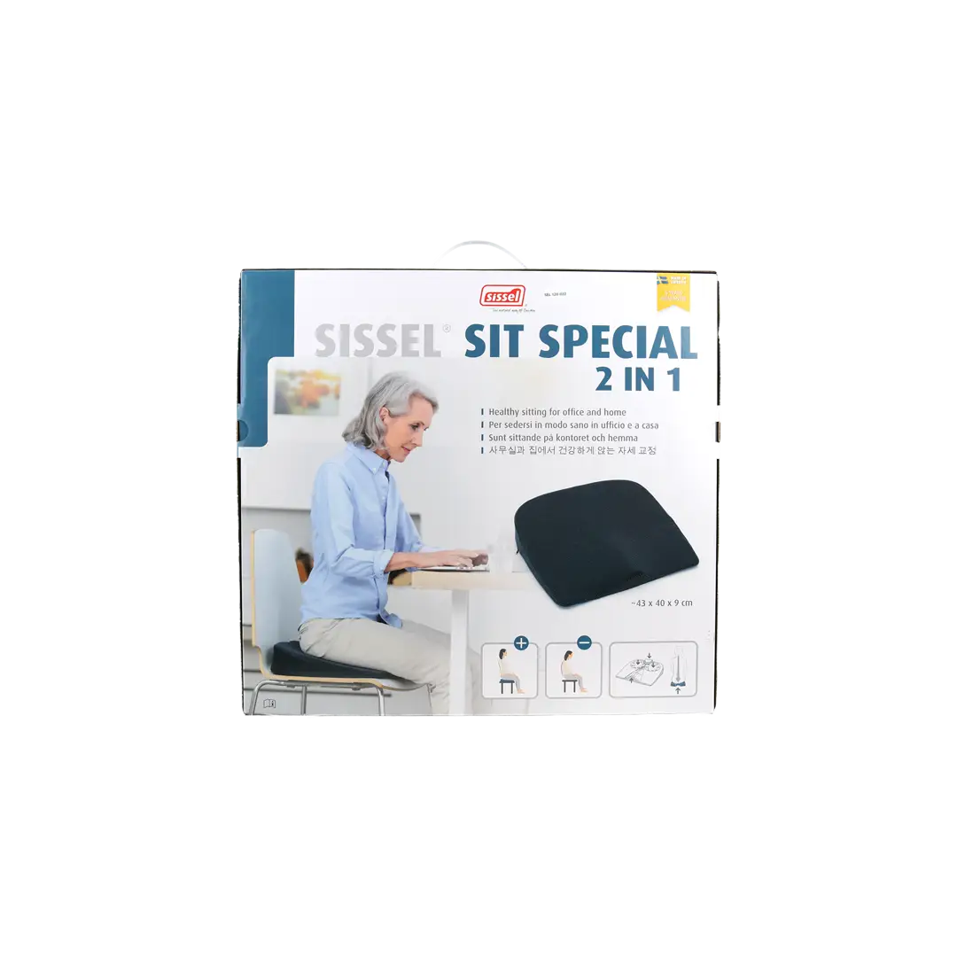 Sissel Sit Special 2 in 1 Gray