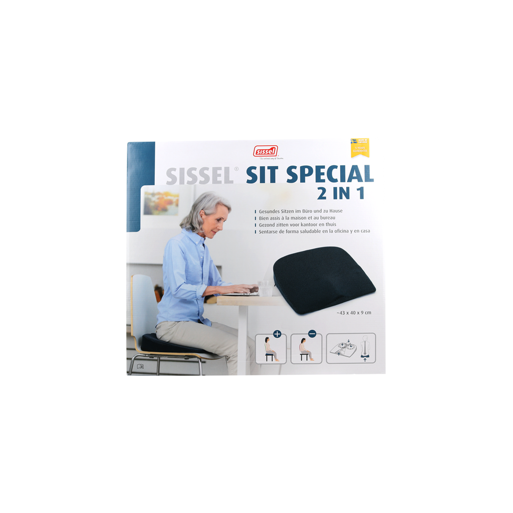 Sissel Sit Special 2 in 1 Gray