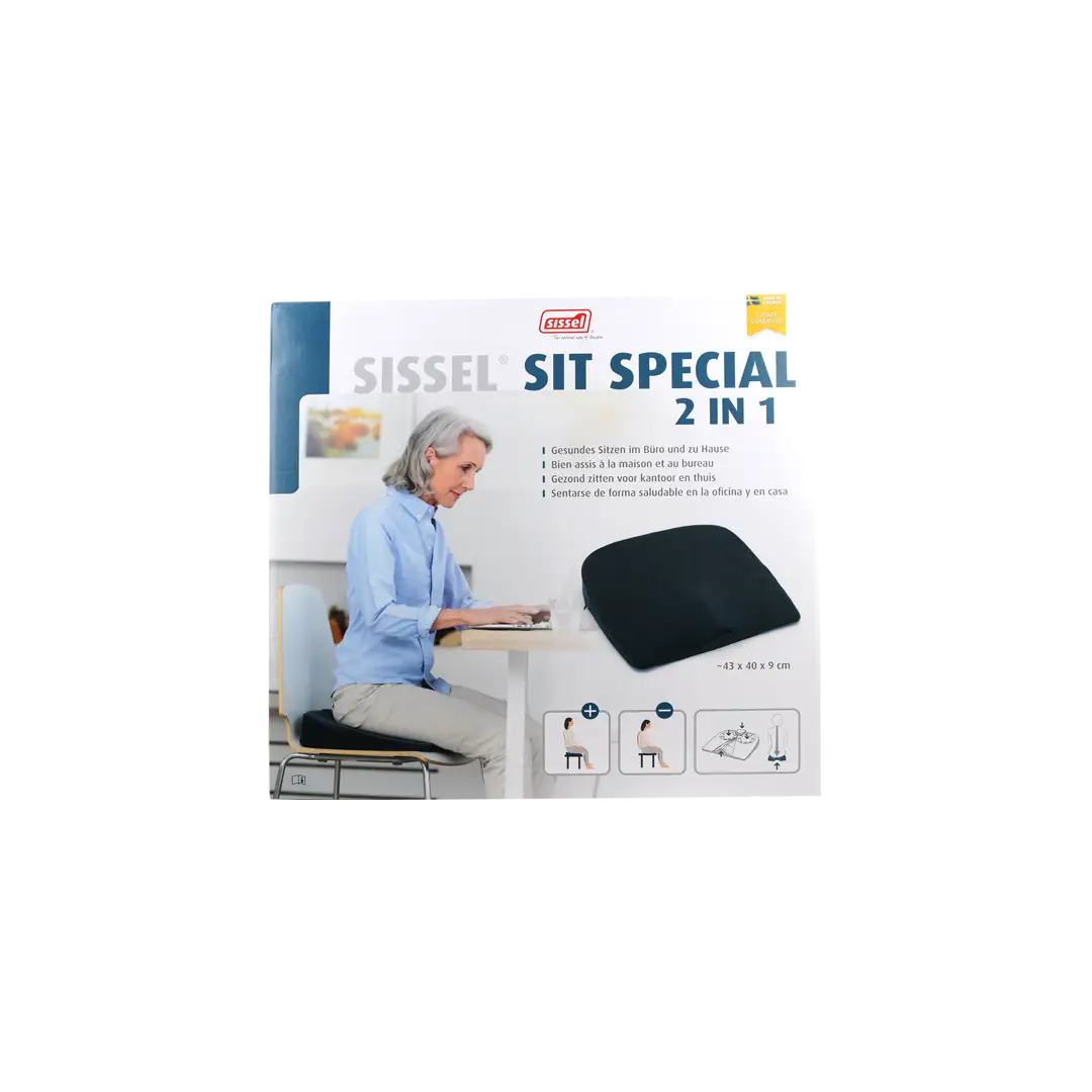 Sissel Sit Special 2 in 1 Gray