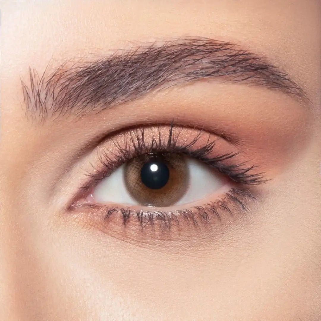 54942-Bella Color One Day Lens 10Pcs - Venus
