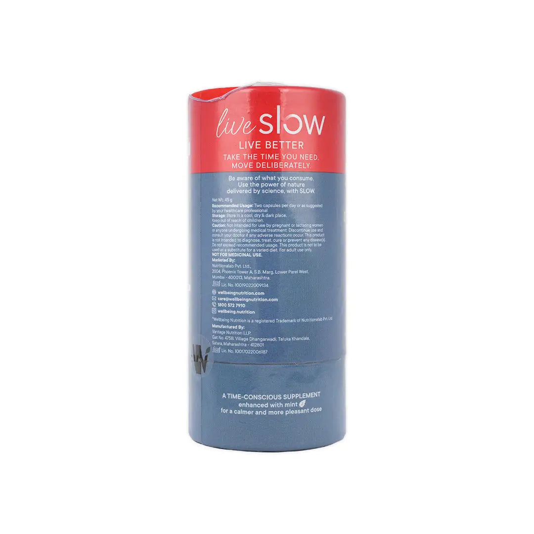 Wellbeing Slow Triple Daily Probiotics 60 Capsules