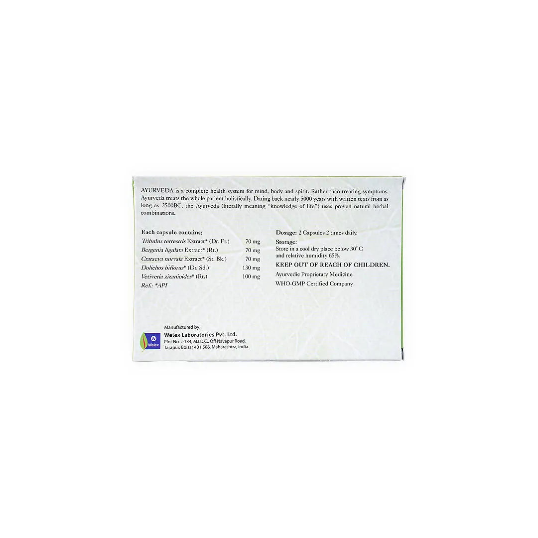 Ayurveda ayurin (Herbal) 60 Capsules