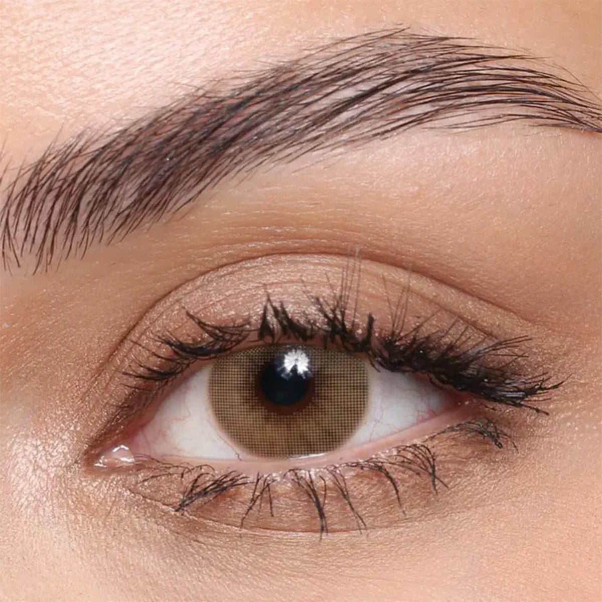 55466-Marvel Contact Lenses Mocha