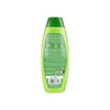 Palmolive Naturals 2in1 Shampoo&Conditioner 380ml- Apple
