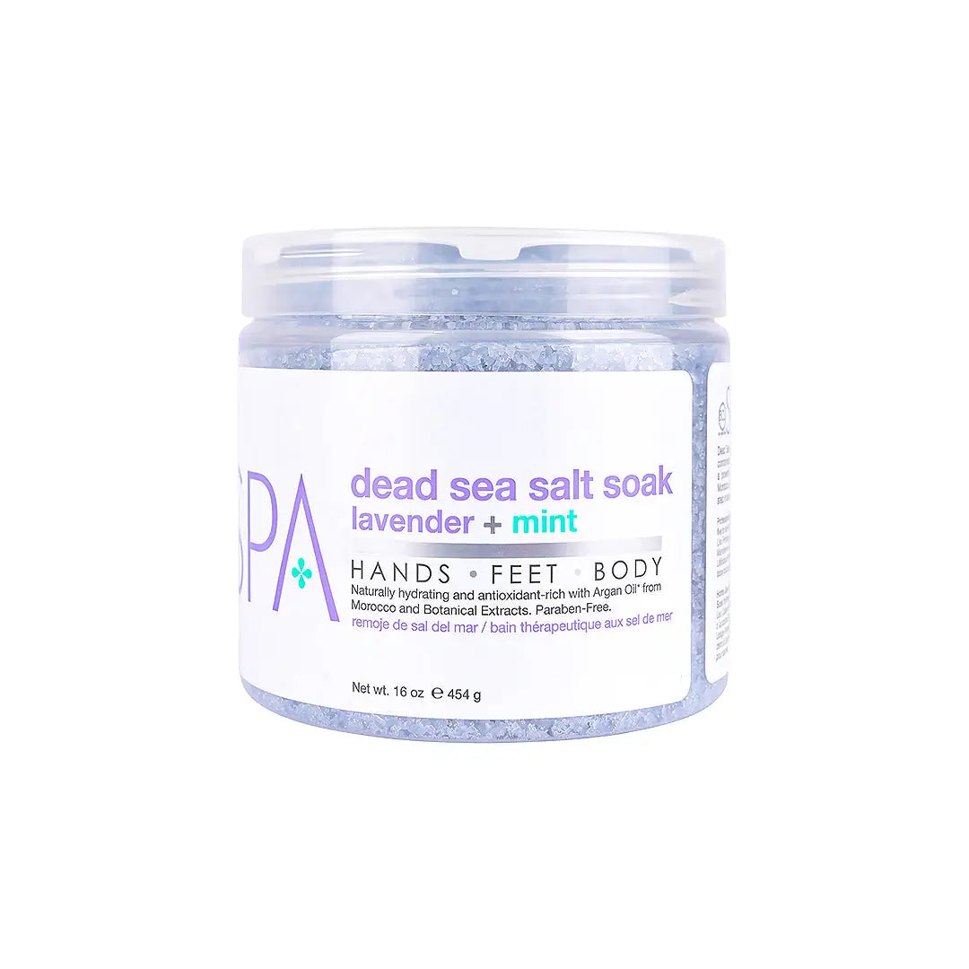 BCL SPA Dead Sea Salt Soak 454g-Lavender + Mint