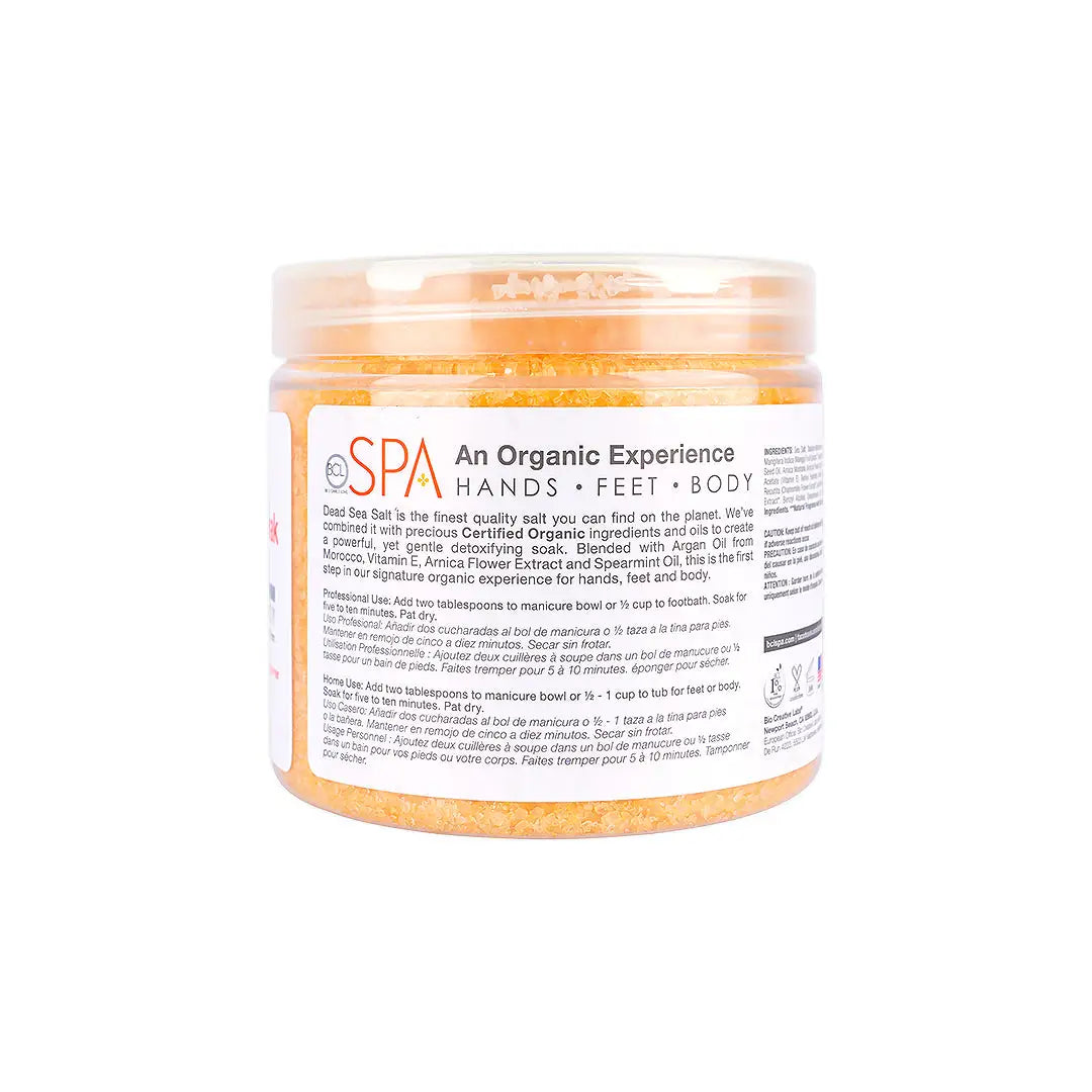 BCL SPA Dead Sea Salt Soak 454g –Mandarin + Mango