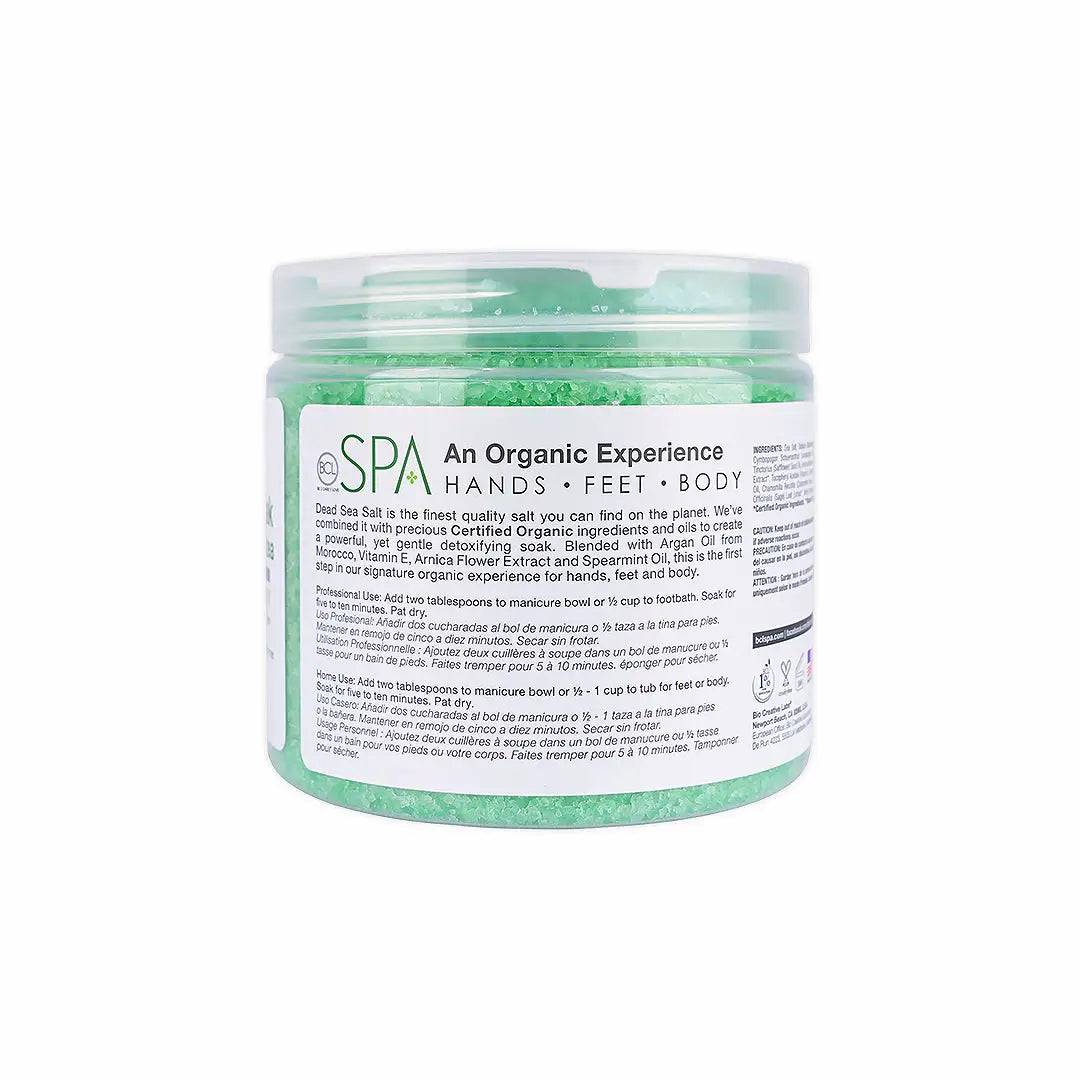 BCL SPA Dead Sea Salt Soak 454g -Lemongrass + Green Tea