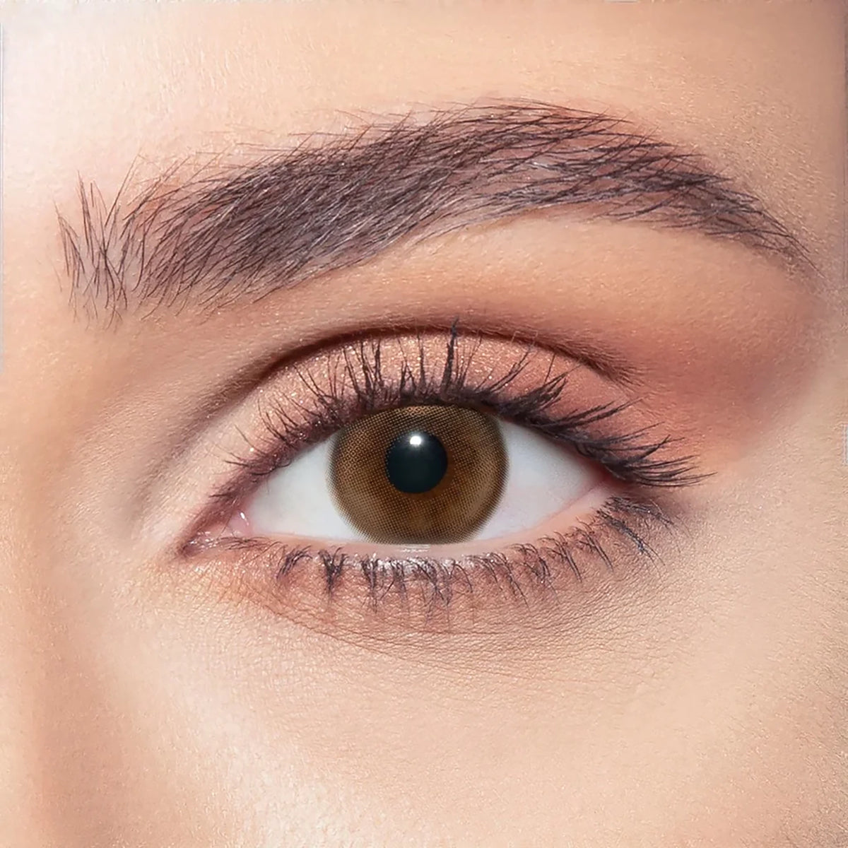 57601-Bella Color One Day Contact Lenses 10pcs - Siren Bronze