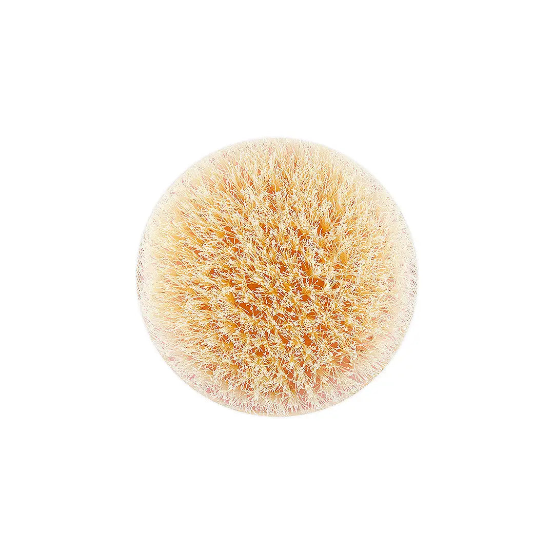 58282-EcoTools Dry Body Brush-7425