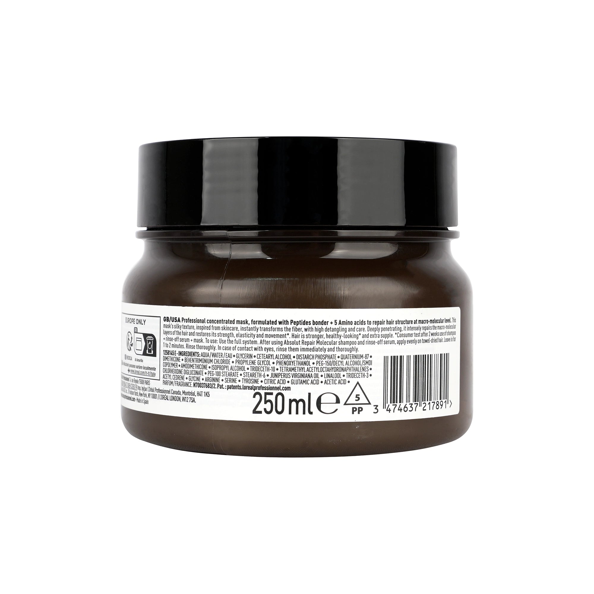 Loreal Serie Expert Absolut Repair Molecular Mask 250ml
