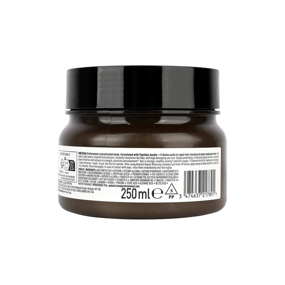 58321-Loreal Serie Expert Absolut Repair Molecular Mask 250ml +2