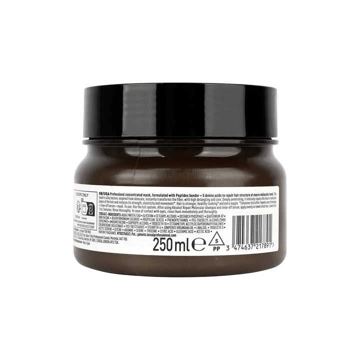 58321-Loreal Serie Expert Absolut Repair Molecular Mask 250ml +2