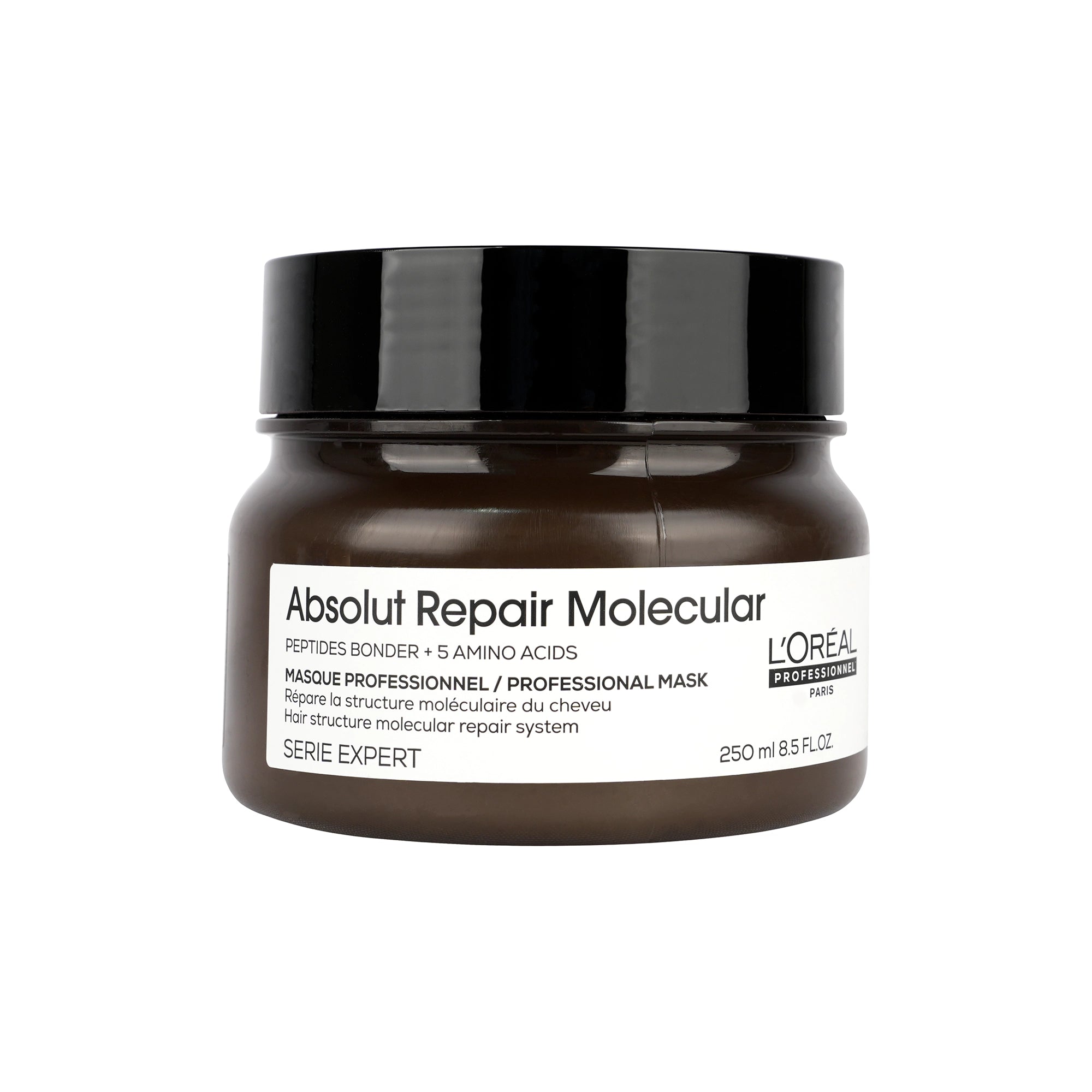 Loreal Serie Expert Absolut Repair Molecular Mask 250ml